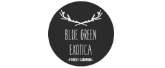 logo-blue-green