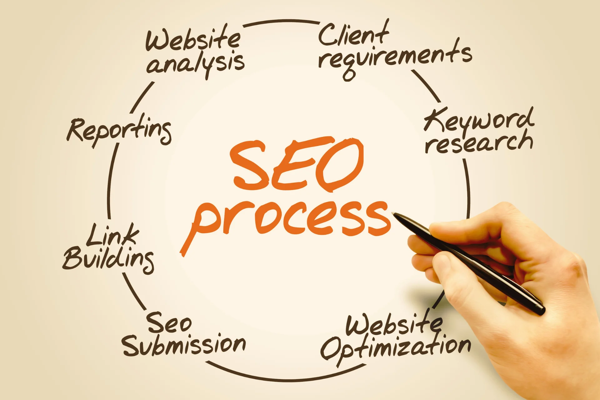 Professional Expert SEO Services in the USA