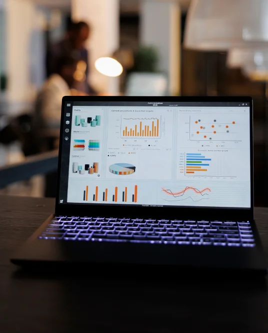 CRM Customization | RedSprout Digital
