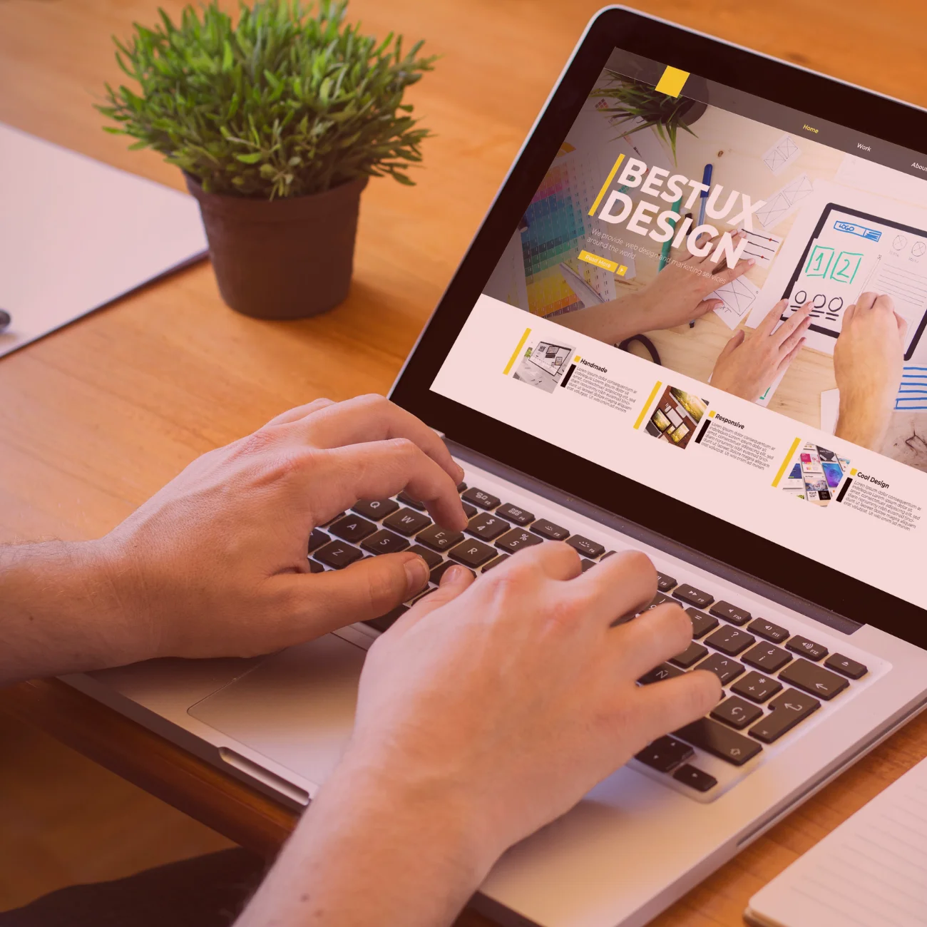 Landing Page Development | RedSprout Digital